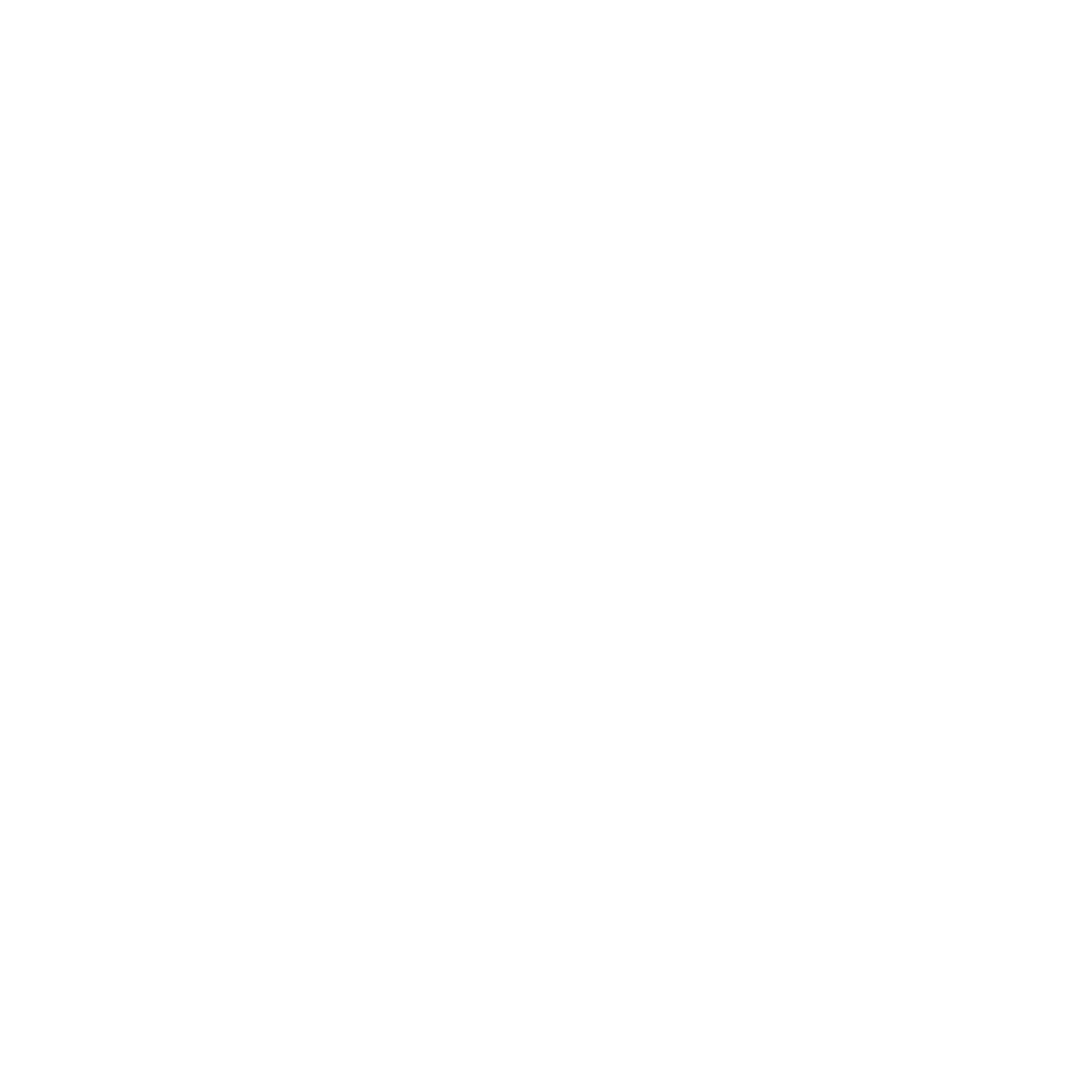 SHREE RAM COMPUTER Logo
